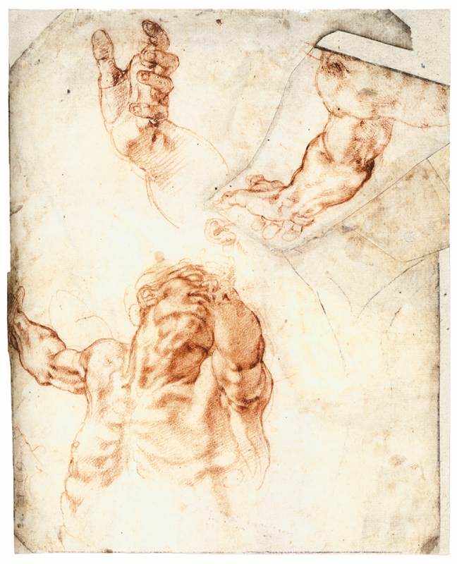 Michelangelo-Buonarroti (152).jpg